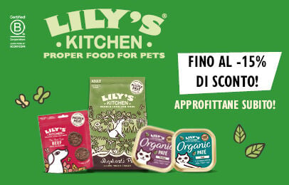 Scopri i prodotti Lily's Kitchen!